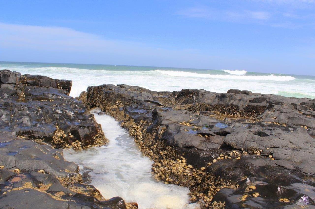 Silver Dolphin Holidays Lejlighed Amanzimtoti Eksteriør billede
