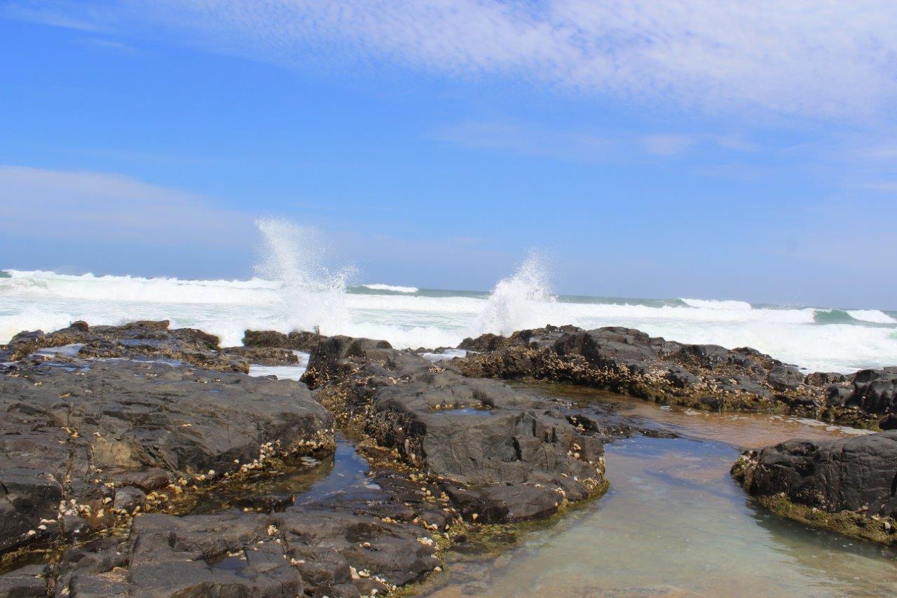 Silver Dolphin Holidays Lejlighed Amanzimtoti Værelse billede
